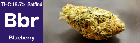 Blueberry_Slider_Iconphotobar_01