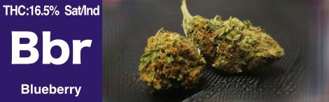 Blueberry_Slider_Iconphotobar_02